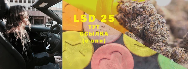 прущие крисы Белокуриха