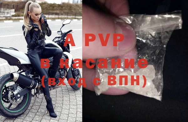 прущие крисы Белокуриха