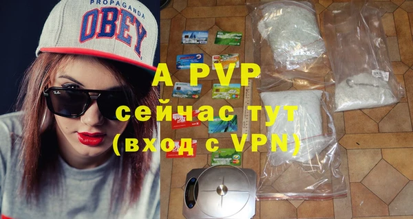 прущие крисы Белокуриха